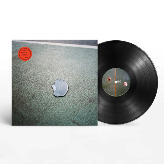 THEY MIGHT BE GIANTS - BOOK - 180g VINYL LP