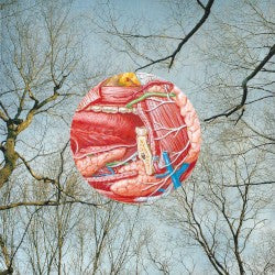 THEY MIGHT BE GIANTS - GLEAN/ FLOOD LIVE CD